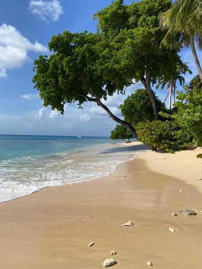 Westmoreland Hills - Mount Standfast - St James - Full Gym Membership Saint James Exteriér fotografie