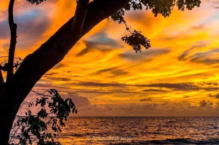 Westmoreland Hills - Mount Standfast - St James - Full Gym Membership Saint James Exteriér fotografie